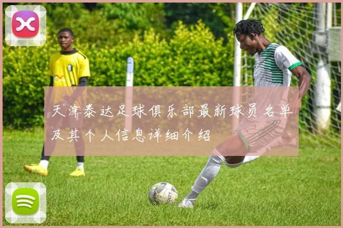 天津泰达足球俱乐部最新球员名单及其个人信息详细介绍