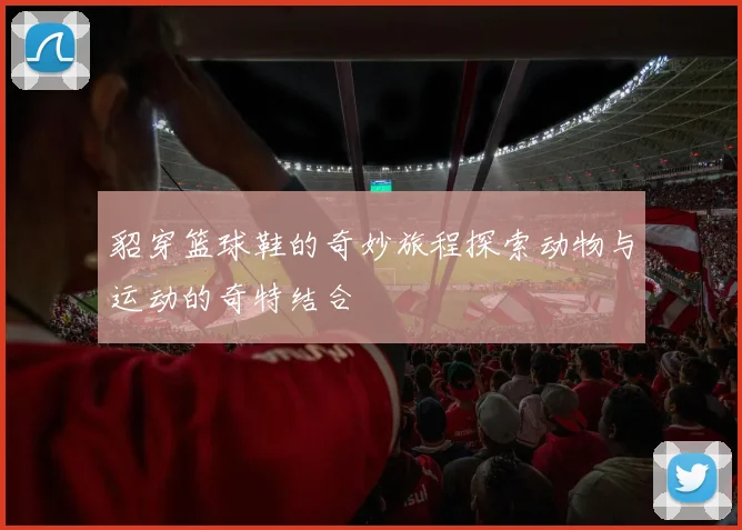 貂穿篮球鞋的奇妙旅程探索动物与运动的奇特结合