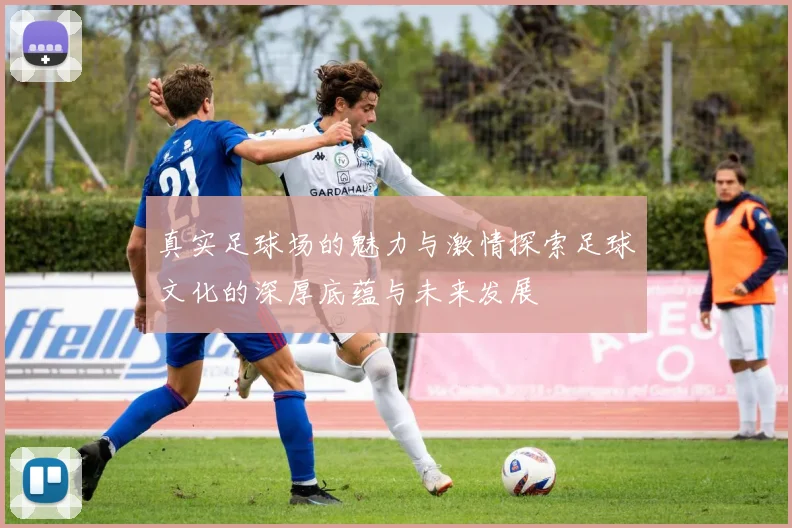 真实足球场的魅力与激情探索足球文化的深厚底蕴与未来发展
