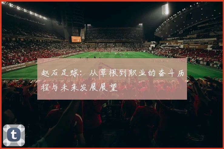 赵石足球：从草根到职业的奋斗历程与未来发展展望