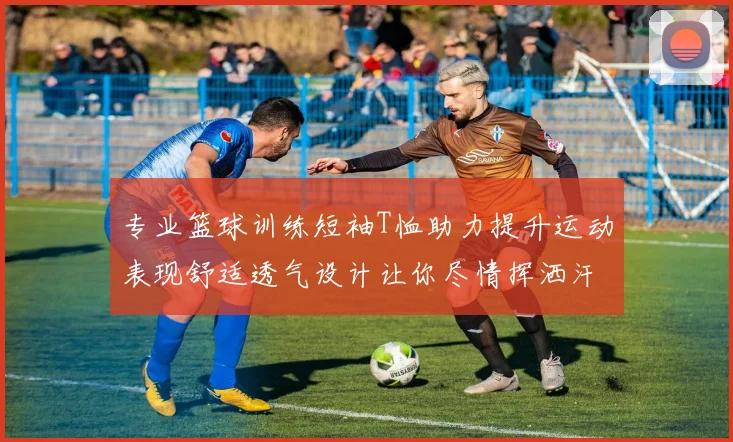 专业篮球训练短袖T恤助力提升运动表现舒适透气设计让你尽情挥洒汗水