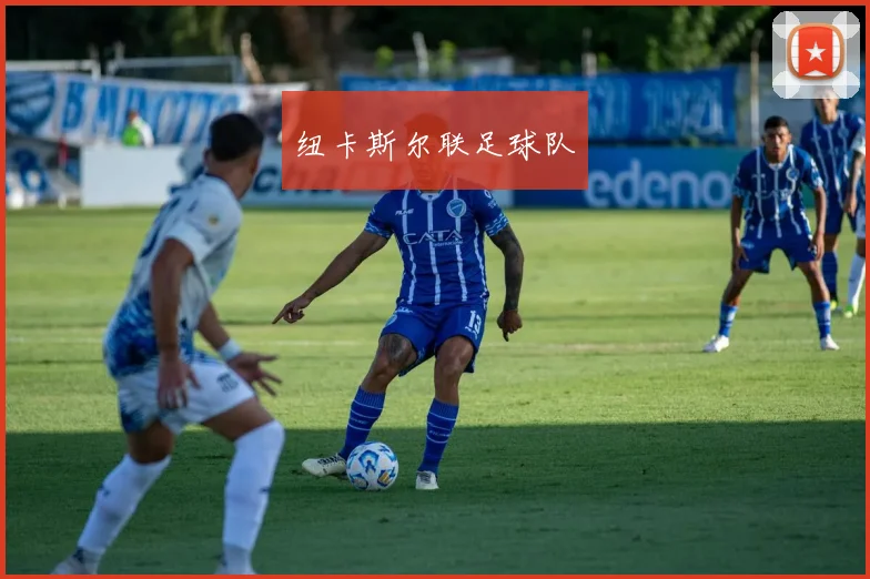 纽卡斯尔联足球队