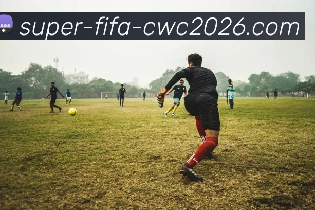 2026世界杯平台生态图